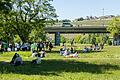 Zwischen 50 und 70 Menschen demonstrierten am Samstag auf den Mainwiesen in Würzburg gegen die Corona-Maßnahmen der Regierung. Mit Schildern und Meditationen prangerten sie die Einschränkung der Grundrechte und der persönlichen Freiheit an.