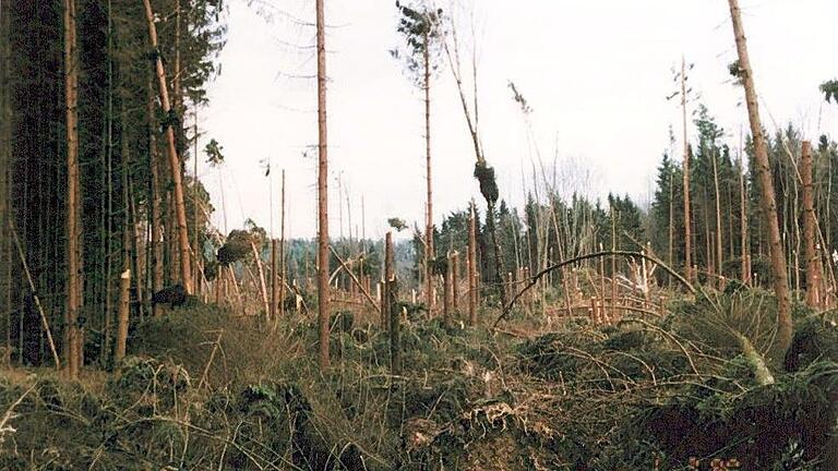 Das Bild ist aus dem Jahr 1990. Der Sturm Wiebke sorgte für einen Kahlschlag im Marktheidenfelder Stadtwald.