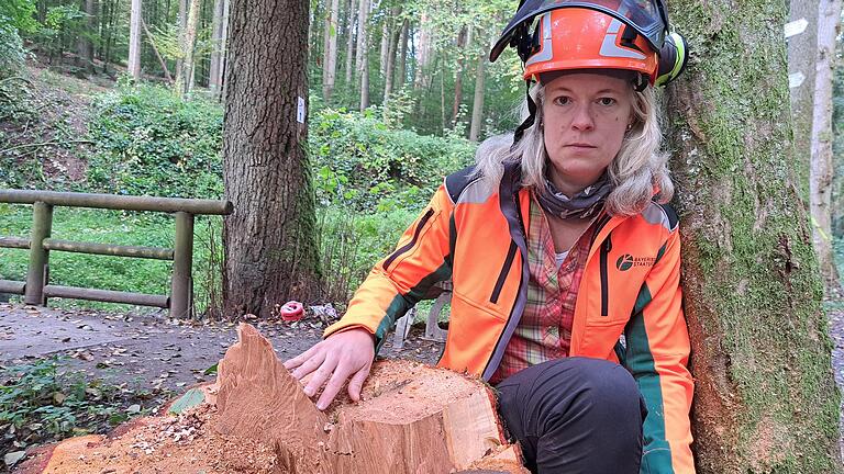 Revierleiterin Johanna Fikar an einem Lindenstumpf: Innen ist der Stamm morsch und nicht stabil. - Revierleiterin Johanna Fikar an einem Lindenstumpf: Innen ist der Stamm morsch und nicht stabil. Revierleiterin Johanna Fikar an einem Lindenstumpf: Innen ist der Stamm morsch und nicht stabil. - Revierleiterin Johanna Fikar an einem Lindenstumpf: Innen ist der Stamm morsch und nicht stabil.