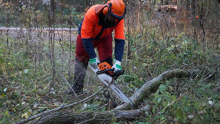 Wer selbst Holz im Wald machen will, muss mit der Motorsäge umgehen können. Sicherheit geht vor bei den eigens veranstalteten Kursen. Wer selbst Holz im Wald machen will, muss mit der Motorsäge umgehen können. Sicherheit geht vor bei den eigens veranstalteten Kursen.
