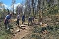 Die Gruppe von Kai-Uwe Rippstein (rechts) hat den Wanderweg entlang der Felswand nach den Baumfällarbeiten freigeräumt.