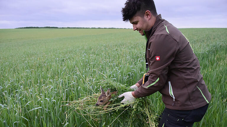 Jedes Jahr sterben unzählige Rehkitze bei landwirtschaftlichen Mäharbeiten. In Wülfershausen gibt es Ehrenamtliche, die sich der Rehkitzrettung verschrieben haben. Mit Hilfe von Wärmbild-Drohnen spüren sie die Kitze in den Felder auf und bringen sie in Sicherheit. Dabei sichern sie auch die Nester von Bodenbrütern wie die Feldlerche.