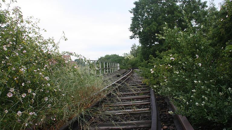 Erfüllt bislang nicht die Kriterien des Freistaats zur Reaktivierung stillgelegter Bahnstrecken: Die Bahntrasse der stillgelegten Steigerwaldbahn, hier in Stadelschwarzach.