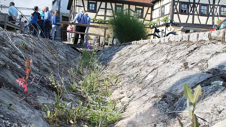 Im jetzigen Zustand ist die Steinrinne in der Bleichstraße recht unansehnlich. Der Bauausschuss des Stadtrats diskutierte am Montagabend über Lösungsmöglichkeiten.