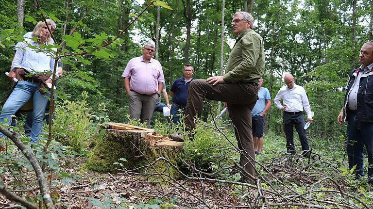 Iphofens Stadtförster Rainer Fell (Mitte) warnt vor falscher Bescheidenheit. 'Wenn ich ökologisch leben will, muss ich Holz aus dem Wald rausnehmen.'