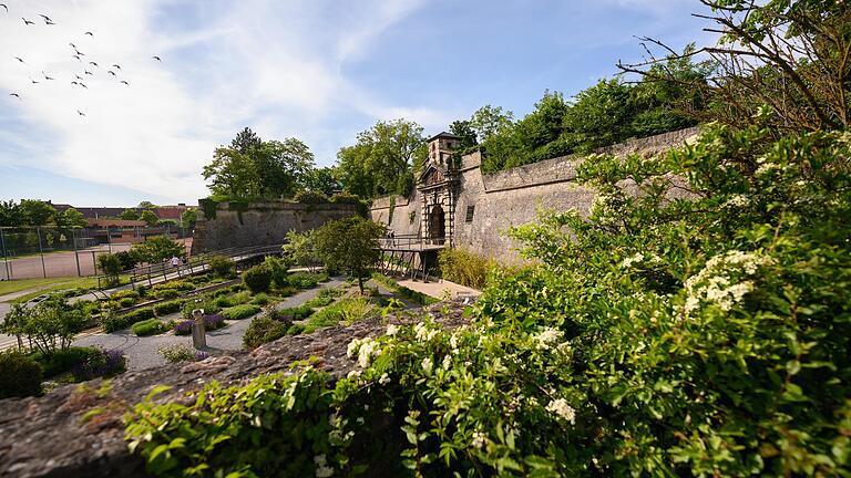 Der Kneipp-Heilkräutergarten ist ein zauberhafter Garten in Würzburg, den man kennen muss.