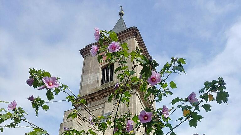 100 Jahre Katholischer Frauenbund Bad Neustadt wird am 15. August mit einem Festgottesdienst und einem Sektempfang auf dem Kirchplatz gefeiert.