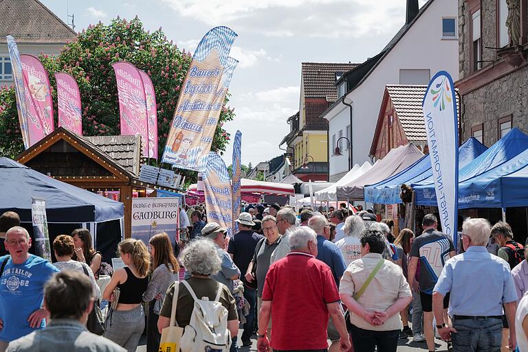 Regionaltag in Lauda: Fest soll das Wir-Gefühl in Heilbronn-Franken stärken Regionaltag in Lauda: Fest soll das Wir-Gefühl in Heilbronn-Franken stärken