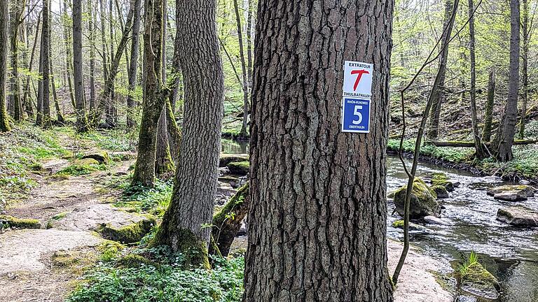 Der naturbelassene Premiumwanderweg Thulbataler (links) entlang der Thulba - Der naturbelassene Premiumwanderweg Thulbataler (links) entlang der Thulba Der naturbelassene Premiumwanderweg Thulbataler (links) entlang der Thulba - Der naturbelassene Premiumwanderweg Thulbataler (links) entlang der Thulba