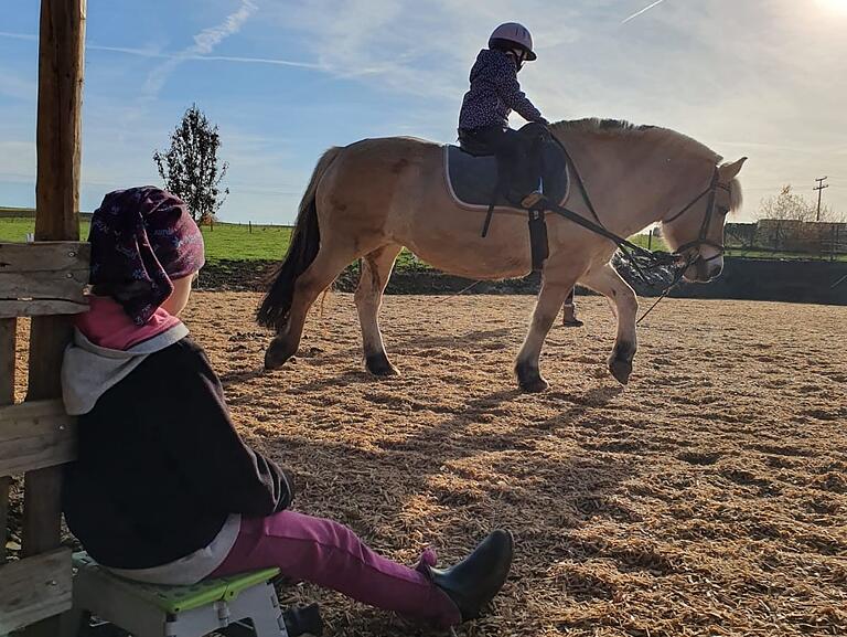 Jedes Kind hat sein 'eigenes' Pony oder Pferd auf dem es das eigenständige Reiten erlernt. Dabei wird viel Wert auf die individuelle Förderung aller Teilnehmer gelegt.&nbsp;