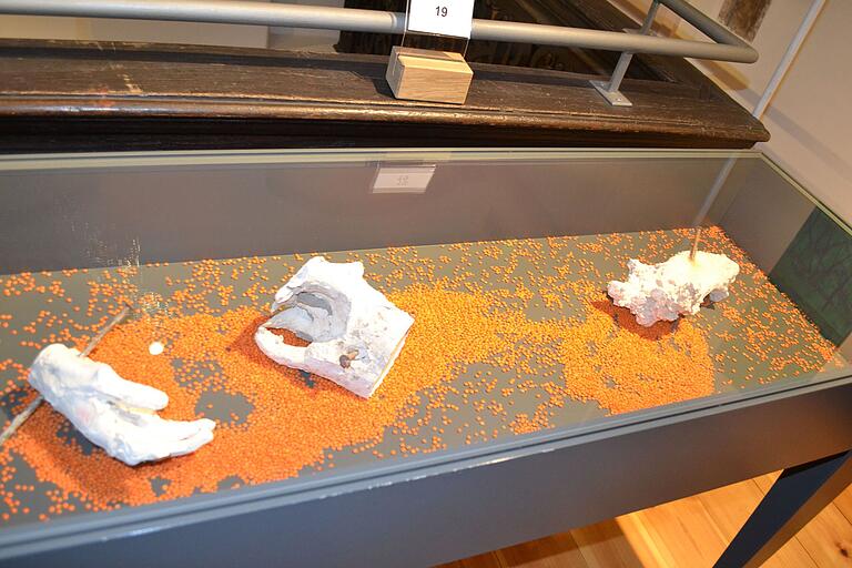 Eine ganz besondere Ausstellung 'Im Rahmen' ist im Franck-Haus in Marktheidenfeld.&nbsp;