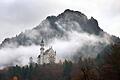 Herbstliches Schloss Neuschwanstein       -  Ein Grund für den &bdquo;Lonely Planet&rdquo;, Bayern ans Herz zu legen: Schloss Neuschwanstein. (Archivbild)