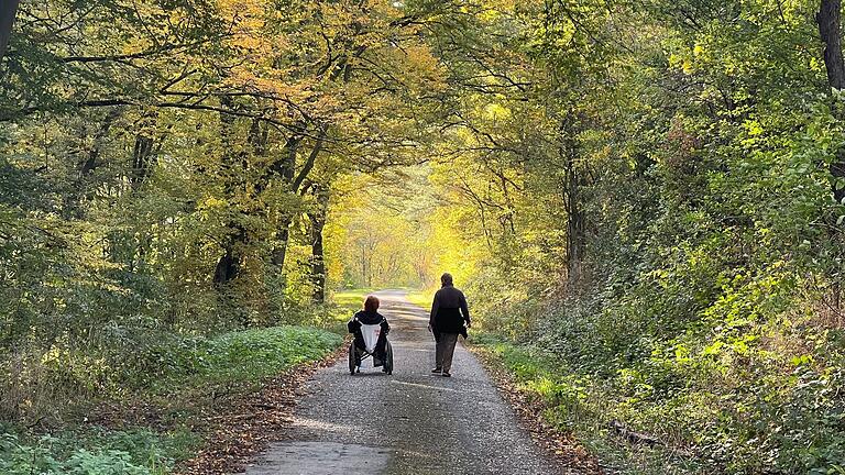 Herbstwanderung 'über Stock und Stein': Fortbewegung auf dem Abt-Degen-Steig ist auch mit motorisiertem Rollstuhl möglich. Herbstwanderung 'über Stock und Stein': Fortbewegung auf dem Abt-Degen-Steig ist auch mit motorisiertem Rollstuhl möglich.