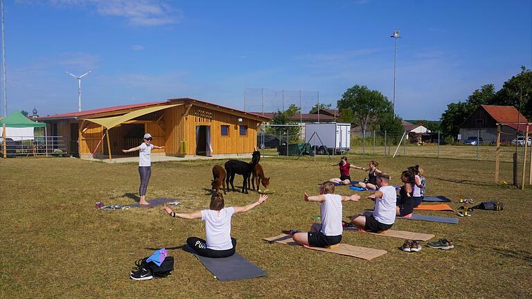 Yogalehrerin Hannah Margraf mit den Yoga-Teilnehmern und drei der sieben Alpakas. Yogalehrerin Hannah Margraf mit den Yoga-Teilnehmern und drei der sieben Alpakas.