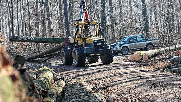 170 Pferdestärken stehen dem Welte-Forstschlepper zur Verfügung, um die Baumstämme zu bewegen.