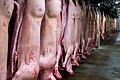Schlachthof       -  Schlachthöfe produzieren wieder mehr Schweinefleisch. (Archivbild)
