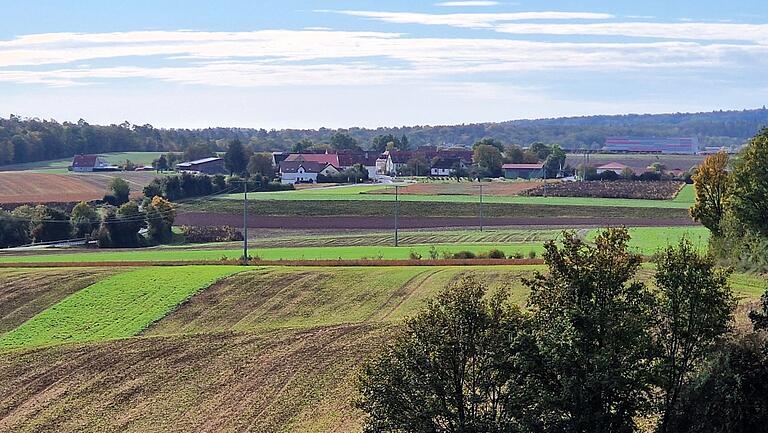 Blick vom Natura Trail auf den Veitshöchheimer Ortsteil Gadheim mit Markushof und EU-Mittelpunkt. Blick vom Natura Trail auf den Veitshöchheimer Ortsteil Gadheim mit Markushof und EU-Mittelpunkt.