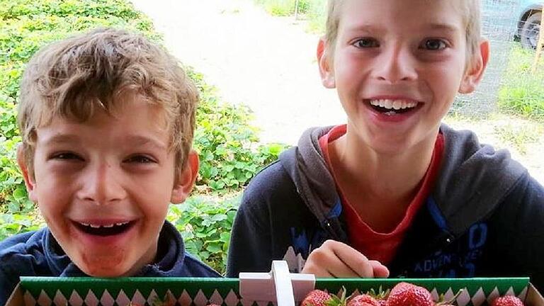 Ran an die Erdbeeren: Ab sofort sind die Erdbeerfelder in Eußenhausen und im benachbarten Thüringen geöffnet. Ran an die Erdbeeren: Ab sofort sind die Erdbeerfelder in Eußenhausen und im benachbarten Thüringen geöffnet.