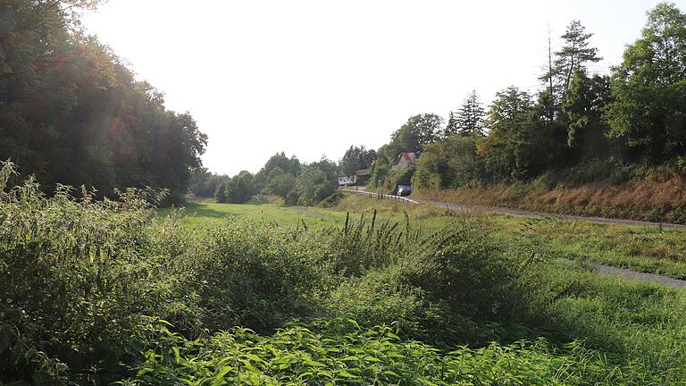 Hier, auf den Wiesen zwischen Eherieder Mühlbach und Kaltensondheimer Straße, braut sich bei Starkregen einiges zusammen. Hier, auf den Wiesen zwischen Eherieder Mühlbach und Kaltensondheimer Straße, braut sich bei Starkregen einiges zusammen.