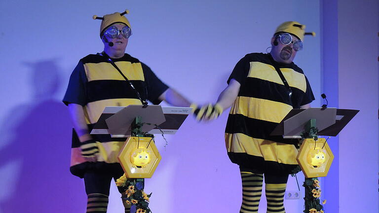 Jedes Jahr ein Highlight beim Abersfelder Laienfasching Jürgen Stühler (links) und Christian Margraf, die heuer als „Bienen“ kamen.