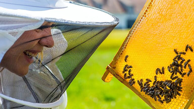 Diese Bienen waren fleißig, denn die Waben sind randvoll mit Honig gefüllt. Diese Bienen waren fleißig, denn die Waben sind randvoll mit Honig gefüllt.
