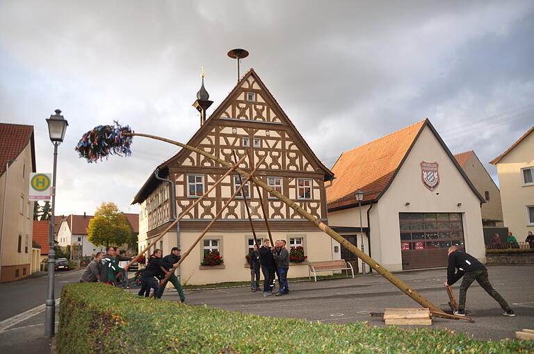 Die jungen Burschen packten kräftig mit an, um den 17 Meter langen Baum in die Höhe zu stemmen. Die jungen Burschen packten kräftig mit an, um den 17 Meter langen Baum in die Höhe zu stemmen.