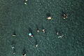 Tourismus in der Türkei.jpeg       -  Tourismus in der Türkei Badegäste genießen das Mittelmeer am sonnigen Patara-Strand an der Süd-Ost-Küste der Türkei. +++ dpa-Bildfunk +++AGENTURBILD DPA picture-alliance.com picture alliance dpa-archiv dpa-langzeitarchiv