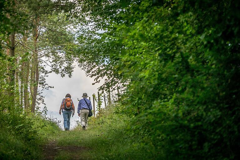 Der Winterhäuser Mondweg ist ein ausgeschilderter Wanderweg von knapp 6 Kilometerm Länge. Regelmäßig sind Steinskulpturen von lokalen Steinmetzen aufgestellt. Der Winterhäuser Mondweg ist ein ausgeschilderter Wanderweg von knapp 6 Kilometerm Länge. Regelmäßig sind Steinskulpturen von lokalen Steinmetzen aufgestellt.