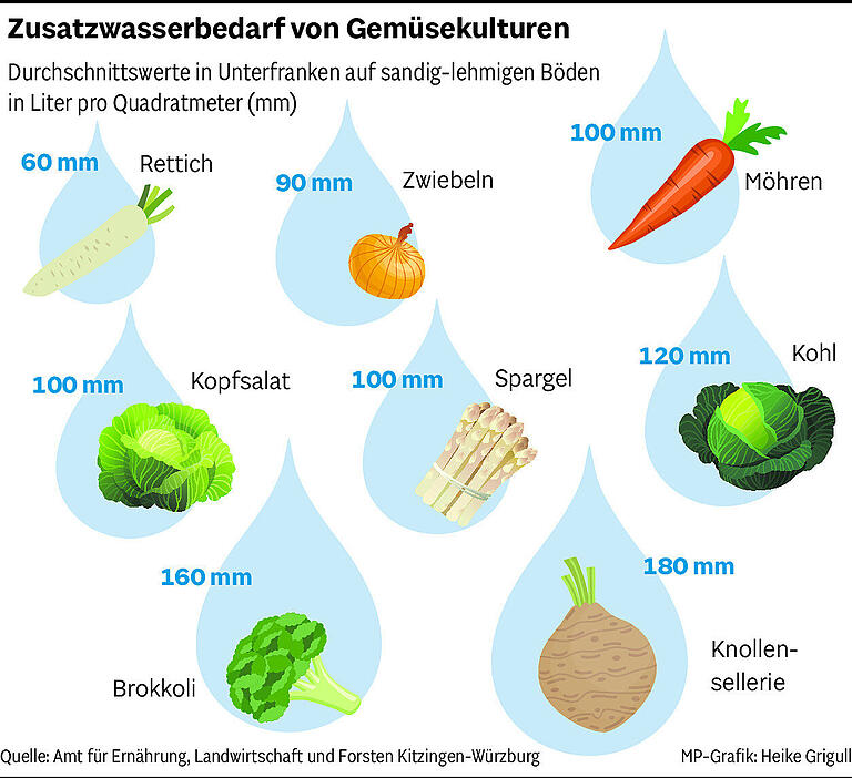 Regionale Lebensmittel im Vergleich: Welches Obst und Gemüse braucht in Unterfranken am meisten Wasser?