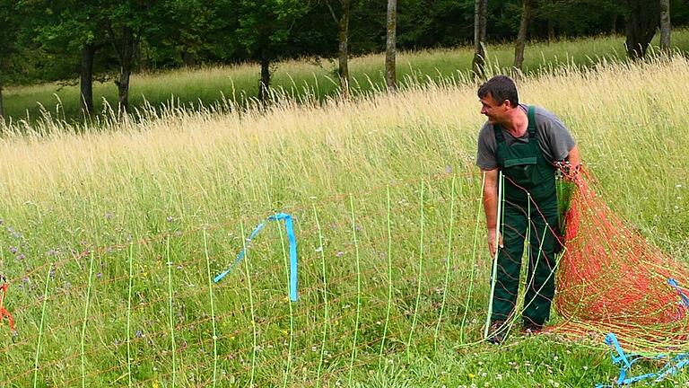 Ein korrekt aufgestellter Zaun ist Voraussetzung für den Schutz der Tiere und für Entschädigungen für den Tierhalter nach einem Wolfsangriff.&nbsp;