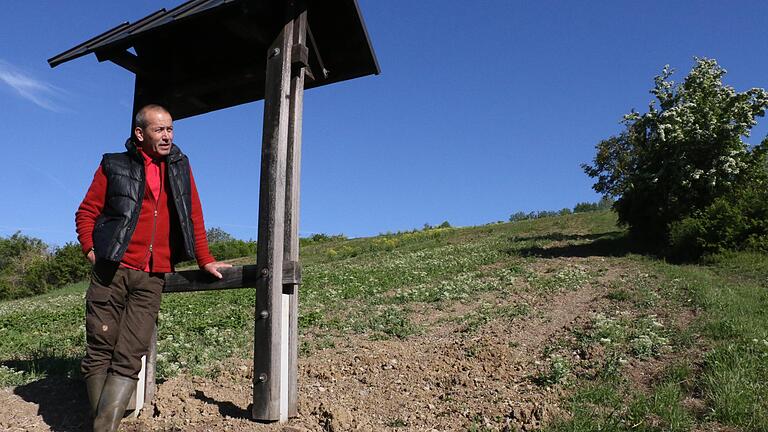 Früher Weinberg, zukünftig Blumenwiese: Seine 20 000 Quadratmeter Fläche stellt der Müdesheimer Hartmut Eckert künftig der Umwelt und seinen Lebewesen zur Verfügung.&nbsp;