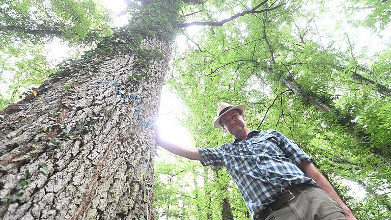 Revierförster Wolfgang Schölch vermittelt bei der Wanderung durch den Gemeindewald in Sommerhausen am Sonntag viel Wald-Wissen.