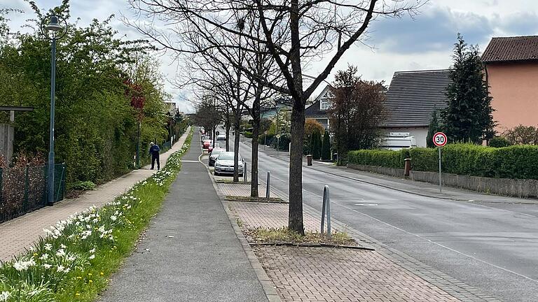 Die Benutzungspflicht für Radler für den Radweg parallel zur Ulrich-Willer-Straße sollte laut Radwegkonzept aufgehoben werden.