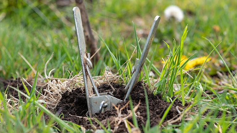Solche und andere Maulwurfsfallen, die da Tier töten, dürfen nicht eingesetzt werden, denn der Maulwurf steht unter Naturschutz. Solche und andere Maulwurfsfallen, die da Tier töten, dürfen nicht eingesetzt werden, denn der Maulwurf steht unter Naturschutz.