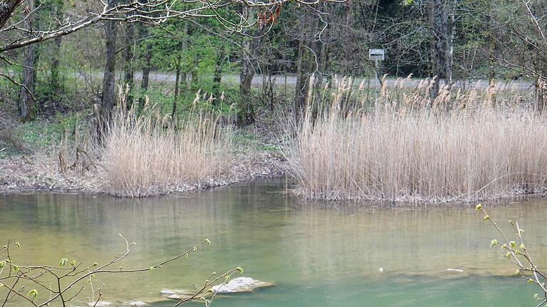 Flachwasserzonen als Rückzugsgebiete für Fauna und Flora.