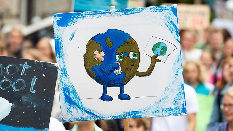 Planet Erde ist krank - weil er Homo sapiens hat. Protestschild bei einer 'Fridays For Future'-Demonstration.