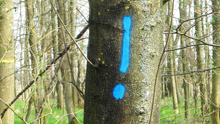 Mit dem blauen Ausrufezeichen werden Bäume markiert, bei denen Krankheiten erwartet werden oder deren Krankheitsverlauf beobachtet wird. Mit dem blauen Ausrufezeichen werden Bäume markiert, bei denen Krankheiten erwartet werden oder deren Krankheitsverlauf beobachtet wird.