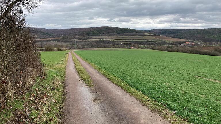 Blick vom Karlstadter Saupurzel auf die Hermannsleite, durch die der Tunnel für die B26n verlaufen soll. Rechts liegt Schönarts.