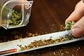 Bei einer Wohnungsdurchsuchung fand die Polizei zufällig Marihuana bei einem 23-Jährigen. Deshalb musste er sich nun vor dem Amtsgericht Haßfurt verantworten.&nbsp;