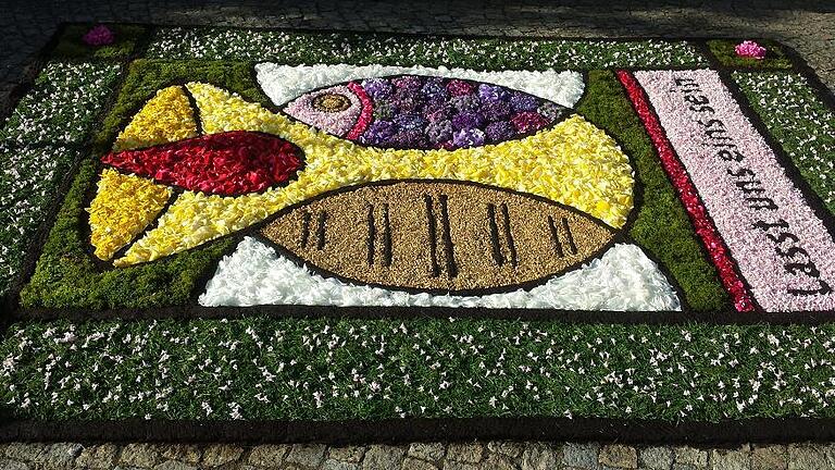 Großer bunter Blumenteppich zu Fronleichnam in Helmstadt - (jos) Die Fronleichnamsprozession in Helmstadt ist nicht nur ein sichtbares Glaubenszeugnis der Katholiken, sondern bietet auch immer wieder ein prächtiges Bild in der Ortsmitte. Die Prozession mit den Fahnenabordnungen der Vereine, den Kindern in Kommunionkleidern, den Frauen und Mädchen des Gartenbauvereins in Helmstadter Tracht, der Feuerwehr und der von Pfarrer Berthold Grönert getragenen goldenen Monstranz führte auch zum bunten Blumenteppich vor der St.-Martin-Kirche. In dieser Größe war er erstmals gelegt worden. Das Motiv aus frischen Blüten stand unter dem Motto „Lasst uns eins sein“ – symbolisiert durch Kelch, Brot, Fisch und einem Blutstropfen. Gestaltet wurde der Teppich von den Frauen des Gartenbauvereins, des Pfarrgemeinderats sowie einigen freiwilligen Helfern und Helferinnen. Das bereits am Abend begonnene Werk wurde am Fronleichnamstag in den frühen Morgenstunden zu Ende gebracht. Gearbeitet wurde nach einer selbst gefertigten Schablone. Die Blüten und Blätter für den kunstvoll gestalteten Teppich „sammeln“ sich die Beteiligten in der freien Natur oder bei Nachbarn und Bekannten zusammen, die gerne mithelfen. Den Rahmen bildete frisch gemähtes, nicht zu langes Gras, in Verbindung mit frischem Moos. „Das Legen der Blumenteppiche macht einfach Spaß“, erklären die Beteiligten. Sie sind sich sicher, dass auch im nächsten Jahr eine bunte Blütenpracht am Fronleichnamstag den Kirchplatz zieren wird. Großer bunter Blumenteppich zu Fronleichnam in Helmstadt - (jos) Die Fronleichnamsprozession in Helmstadt ist nicht nur ein sichtbares Glaubenszeugnis der Katholiken, sondern bietet auch immer wieder ein prächtiges Bild in der Ortsmitte. Die Prozession mit den Fahnenabordnungen der Vereine, den Kindern in Kommunionkleidern, den Frauen und Mädchen des Gartenbauvereins in Helmstadter Tracht, der Feuerwehr und der von Pfarrer Berthold Grönert getragenen goldenen Monstranz führte auch zum bunten Blumenteppich vor der St.-Martin-Kirche. In dieser Größe war er erstmals gelegt worden. Das Motiv aus frischen Blüten stand unter dem Motto „Lasst uns eins sein“ – symbolisiert durch Kelch, Brot, Fisch und einem Blutstropfen. Gestaltet wurde der Teppich von den Frauen des Gartenbauvereins, des Pfarrgemeinderats sowie einigen freiwilligen Helfern und Helferinnen. Das bereits am Abend begonnene Werk wurde am Fronleichnamstag in den frühen Morgenstunden zu Ende gebracht. Gearbeitet wurde nach einer selbst gefertigten Schablone. Die Blüten und Blätter für den kunstvoll gestalteten Teppich „sammeln“ sich die Beteiligten in der freien Natur oder bei Nachbarn und Bekannten zusammen, die gerne mithelfen. Den Rahmen bildete frisch gemähtes, nicht zu langes Gras, in Verbindung mit frischem Moos. „Das Legen der Blumenteppiche macht einfach Spaß“, erklären die Beteiligten. Sie sind sich sicher, dass auch im nächsten Jahr eine bunte Blütenpracht am Fronleichnamstag den Kirchplatz zieren wird.