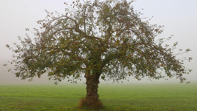 Herbst in Schwanfeld