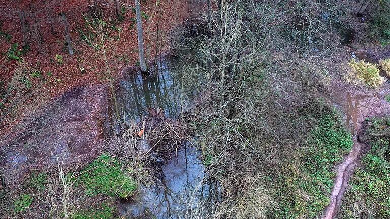 Dieser Biberdamm, wo die Nager ihre Burg haben, sorgt für Überschwemmungen im Bereich des Grundstückes Räder. Zu erkennen die Drainagerohre, über die Wasser abfließen soll, um eine Überschwemmung der Grundstücke zu verhindern. Dieser Biberdamm, wo die Nager ihre Burg haben, sorgt für Überschwemmungen im Bereich des Grundstückes Räder. Zu erkennen die Drainagerohre, über die Wasser abfließen soll, um eine Überschwemmung der Grundstücke zu verhindern.