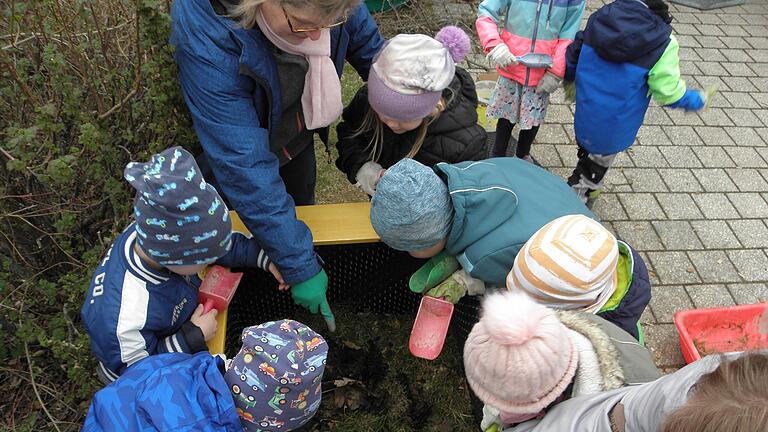 Ganz genau passten die Kinder auf, als die zuvor gesammelten Regenwürmer ins Hochbeet eingesetzt wurden.