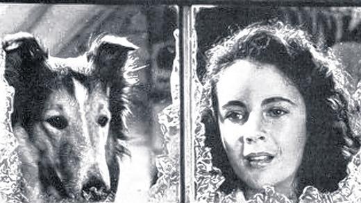 Elizabeth Taylors Leben wie im Film