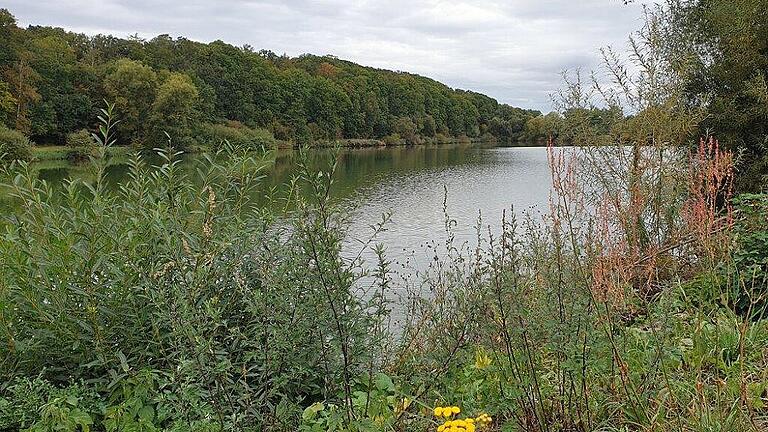 Der Messelausee in der Gemarkung Hainert, der der Stadt Haßfurt gehört, ist ein Kleinod. Um zu verhindern, dass es hier wie schon 2018 zu einem massiven Fischsterben kommt, wollen die Anglerfreunde Nassachtal als Pächter eine Belüftungsanlage einbauen.