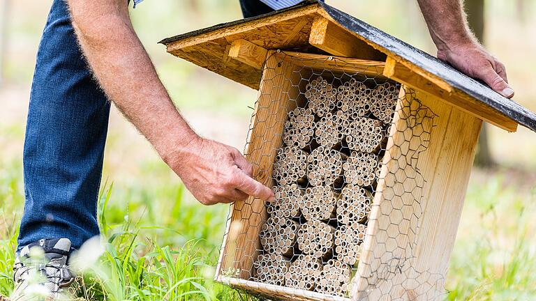 Mauerbienen sorgen dafür, dass die Obstbäume auch bei kühleren Temperaturen bestäubt werden.