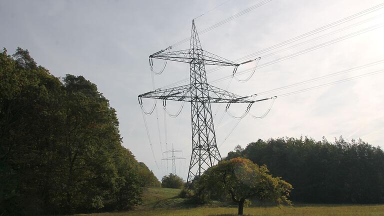 Der Verein MSP-Link kritisiert den Netzbetreiber Tennet für den neuen Verlauf der P43-Stromleitung. Das Bild zeigt Strommasten bei Gambach. (Symbolbild) Der Verein MSP-Link kritisiert den Netzbetreiber Tennet für den neuen Verlauf der P43-Stromleitung. Das Bild zeigt Strommasten bei Gambach. (Symbolbild)