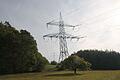 Der Verein MSP-Link kritisiert den Netzbetreiber Tennet für den neuen Verlauf der P43-Stromleitung. Das Bild zeigt Strommasten bei Gambach. (Symbolbild)
