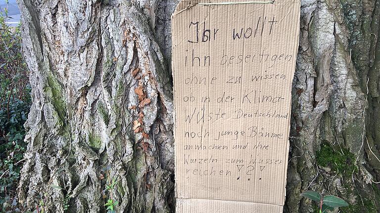 Dieses Pappschild findet sich mittlerweile an der Schwarzpappel am Spitalseebunker.