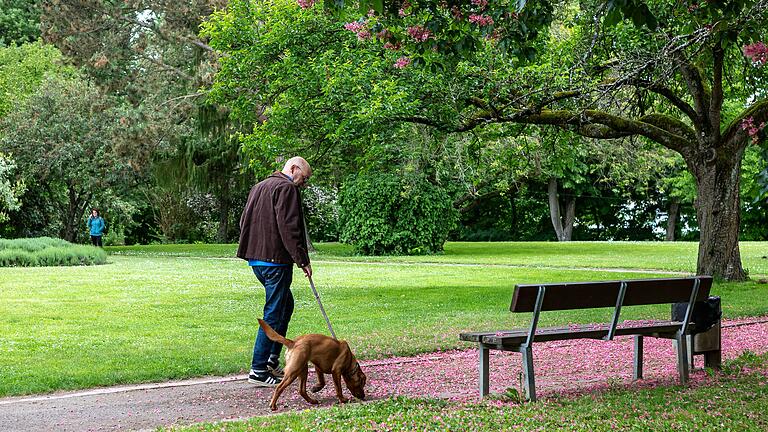 Die Schweinfurter Wehranlagen wurden als botanischer Garten angelegt. Beim Spaziergang kann man besondere Bäume und Pflanzen bewundern. Die Schweinfurter Wehranlagen wurden als botanischer Garten angelegt. Beim Spaziergang kann man besondere Bäume und Pflanzen bewundern.